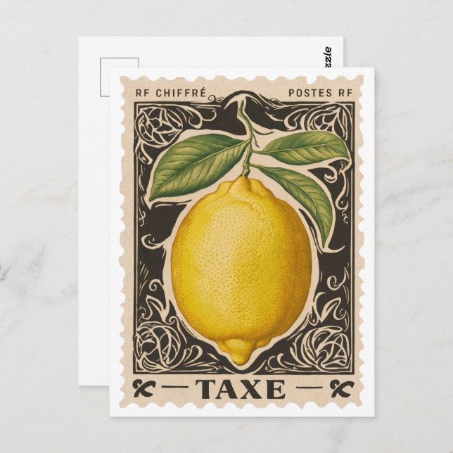 Vintage Lemon Botanical Fruit Postcard  (Front/Back)