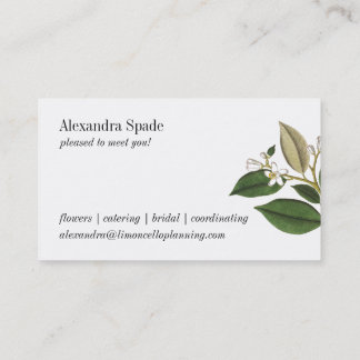 Vintage Lemon Botanical Print Business Card