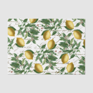 Vintage Lemon Branch French Script Fruit Wrapping  Tissue Paper
