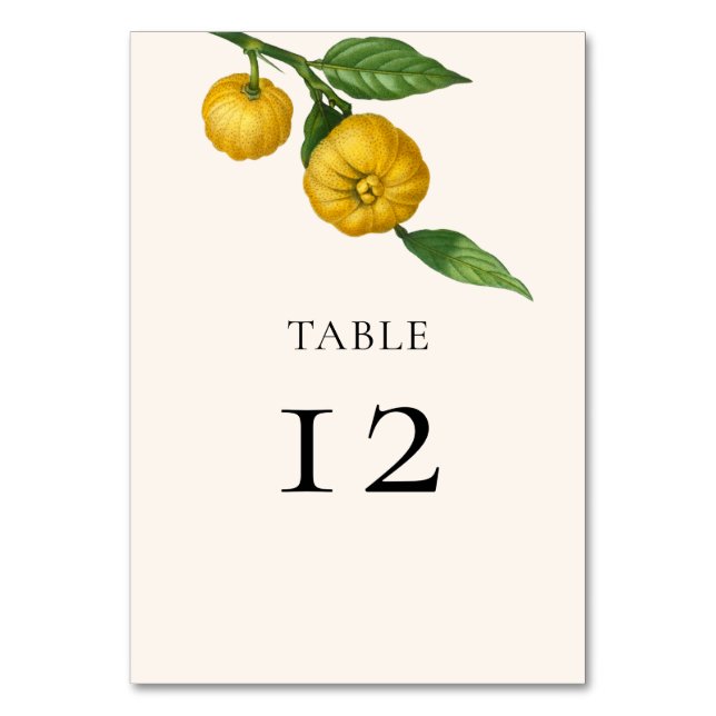 Vintage Lemon Citrus Greenery Botanical Wedding Table Number (Front)