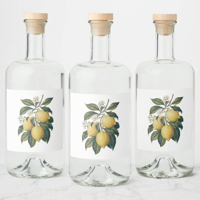 Vintage Lemon Liquor Bottle Label (Bottles)