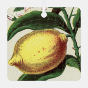 Vintage Lemon Metal Tree Decoration