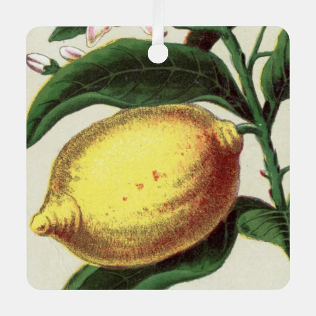 Vintage Lemon Metal Tree Decoration (Front)