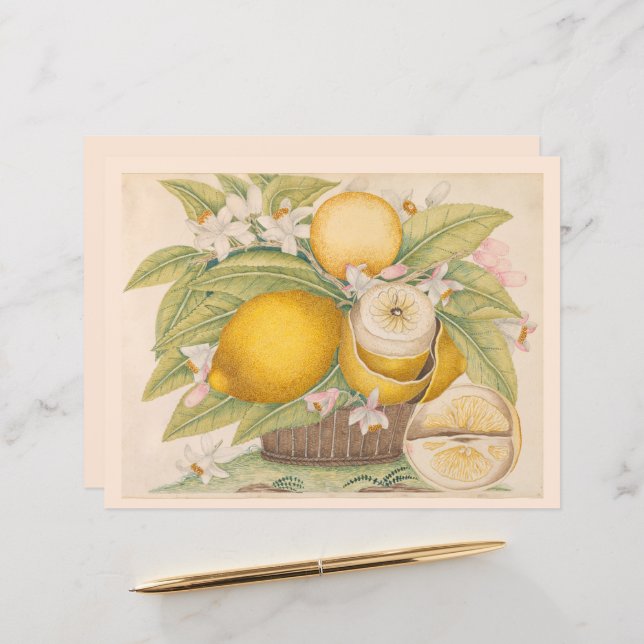 Vintage Lemons Citrus Fruit Drawing Scrapbook Page (Front/Back In Situ)