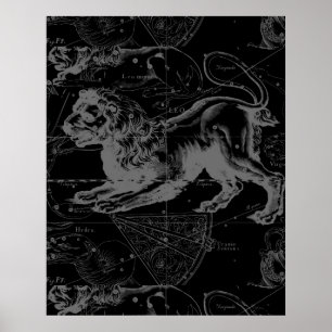 Vintage Leo Constellation MapHevelius 1690 Poster