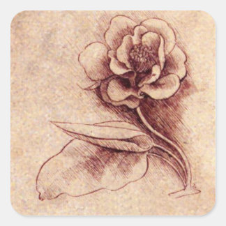 Vintage Leonardo Da Vinci Flower Square Sticker