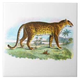 Vintage Leopard Animal Illustration Tile