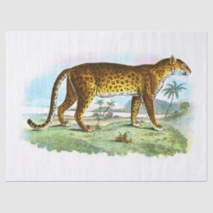 Vintage Leopard Illustration Decoupage Tissue Paper