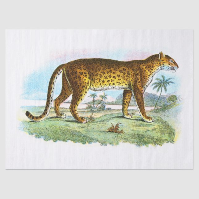 Vintage Leopard Illustration Decoupage Tissue Paper (Front)