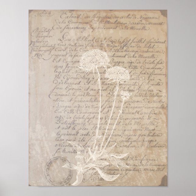 Vintage Letter and Botanical Print Poster (Front)
