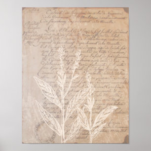 Vintage Letter and Botanical Print Poster