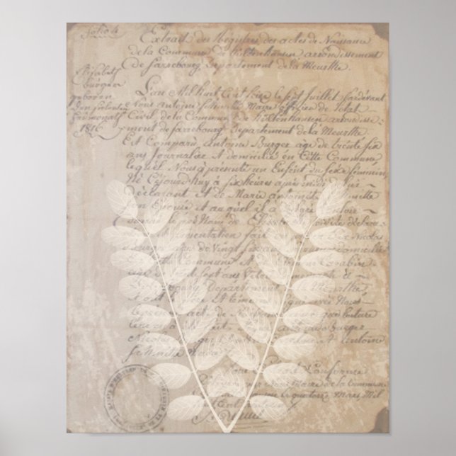 Vintage Letter and Botanical Print Poster (Front)
