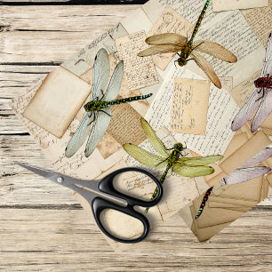 vintage letters with dragonflies tissue paper