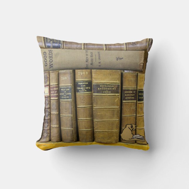 Vintage Library Book Collection Photography Cushion (Front)