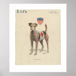 Vintage Life Magazine Cover Poster May, 1917