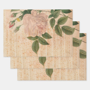 Vintage Light Pink Rose and Music Wrapping Paper Sheet