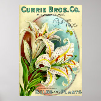 Vintage Lilium Plant Catalogue Poster