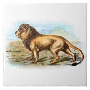 Vintage Lion Animal Illustration Tile