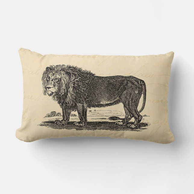 Vintage Lion Illustration - 1800's African Animal Lumbar Cushion (Front)
