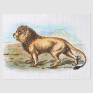 Vintage Lion Illustration Decoupage Tissue Paper