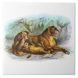 Vintage Lioness And Cubs Animal Illustration Tile