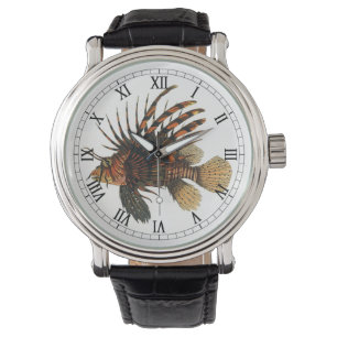 Vintage Lionfish Fish, Marine Ocean Life Animal Watch