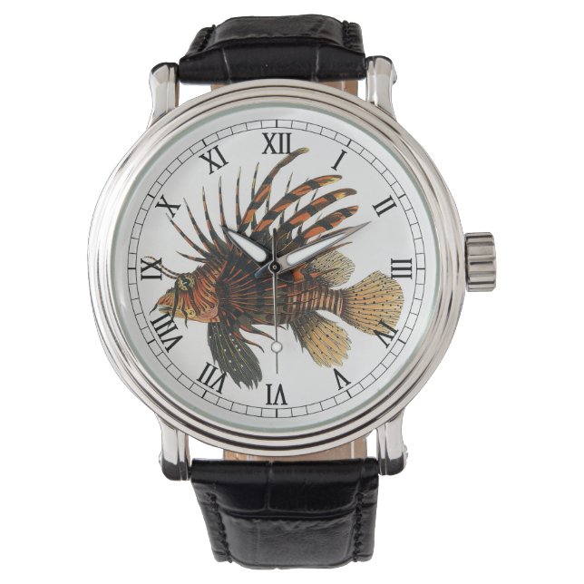 Vintage Lionfish Fish, Marine Ocean Life Animal Watch (Front)