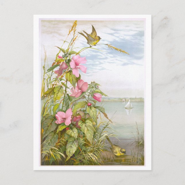 Vintage Lithograph Marsh Mallow with Bird Postcard (Front)