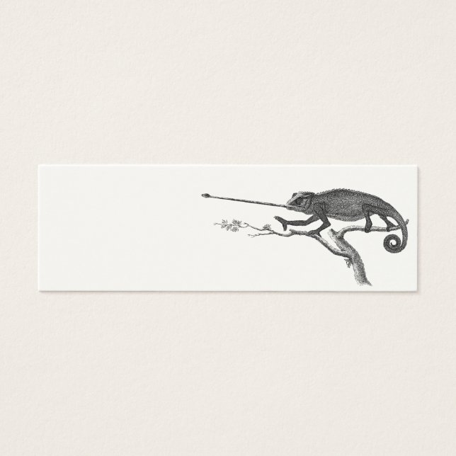 Vintage Lizard Chameleon Illustration Template (Front)