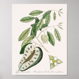 Vintage Lizard Illustration Poster