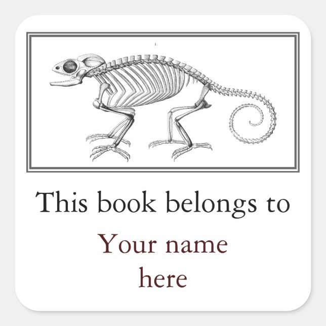 Vintage lizard skeleton bookplate square sticker (Front)