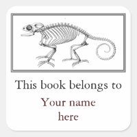 Vintage lizard skeleton bookplate
