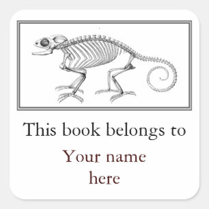 Vintage lizard skeleton bookplate square sticker
