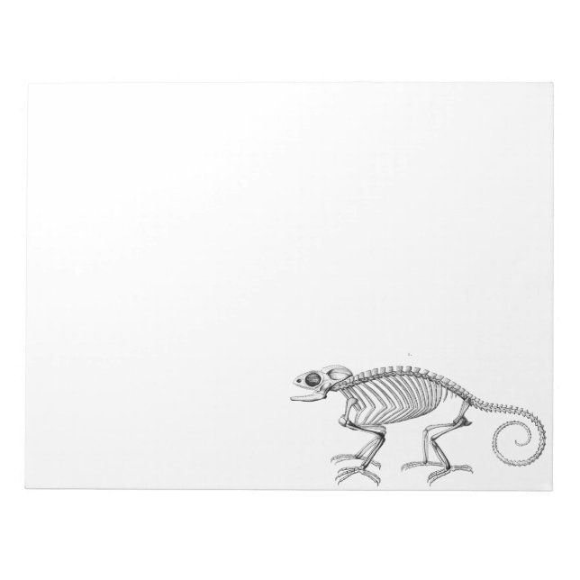 Vintage lizard skeleton notepad (Front)