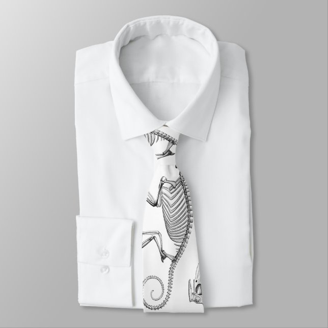 Vintage lizard skeleton tie (Tied)