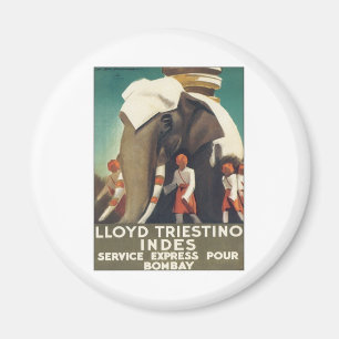 Vintage Lloyd Triestino India Magnet