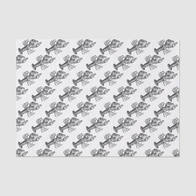 Vintage Lobster #1 Drawing Tissue Paper (Front)
