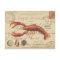 Vintage Lobster and seashells postcard