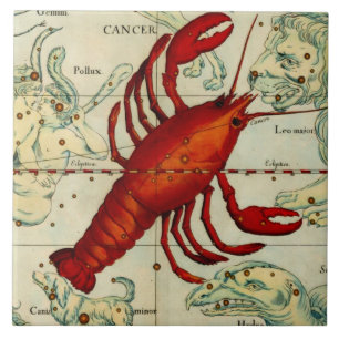 Vintage Lobster Astrollogy Art Ceramic Wall Decor Tile