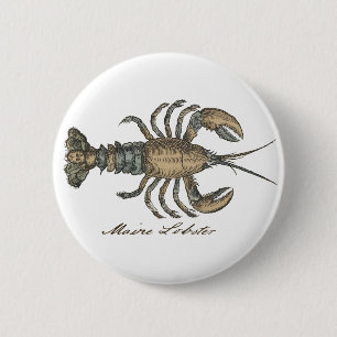 Vintage Lobster Illustration: Coastal Damask 6 Cm Round Badge