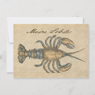 Vintage Lobster Illustration: Coastal Damask Invitation