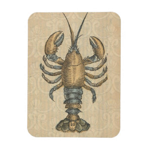 Vintage Lobster Illustration: Coastal Damask Magnet