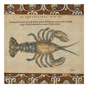 Vintage Lobster Illustration: Coastal Damask Poster