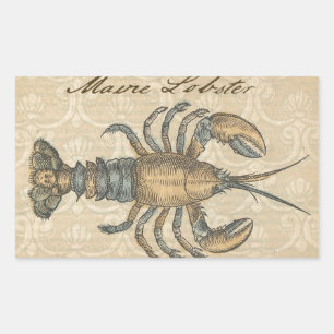 Vintage Lobster Illustration: Coastal Damask Rectangular Sticker