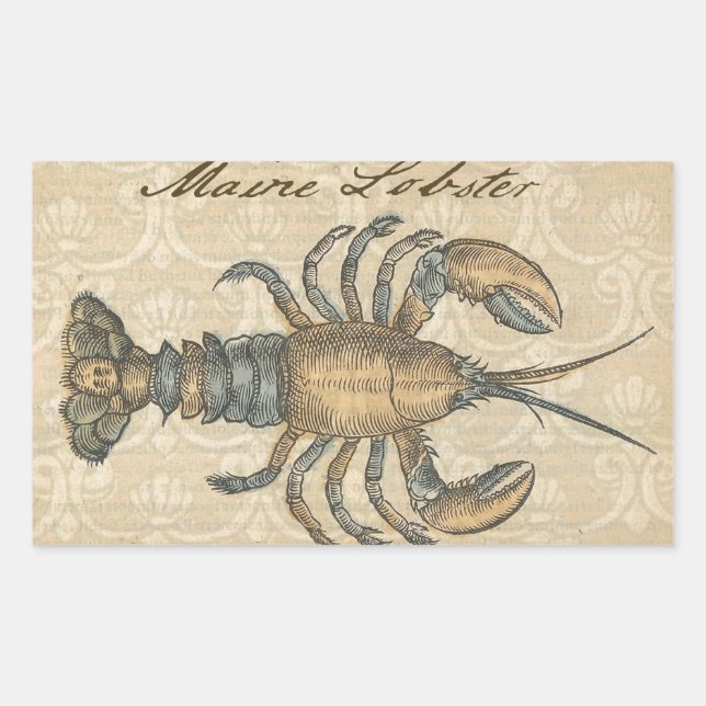 Vintage Lobster Illustration: Coastal Damask  Rectangular Sticker (Front)