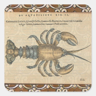 Vintage Lobster Illustration: Coastal Damask Square Sticker