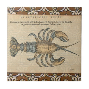 Vintage Lobster Illustration: Coastal Damask Tile