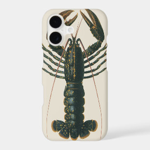 Vintage Lobster, Marine Ocean Life Crustacean