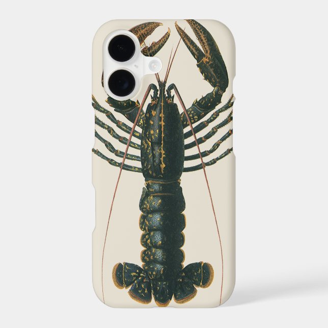 Vintage Lobster, Marine Ocean Life Crustacean (Back)