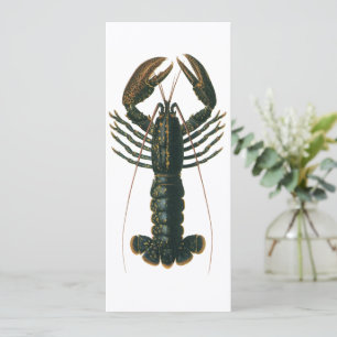 Vintage Lobster, Marine Ocean Life Crustacean Invitation